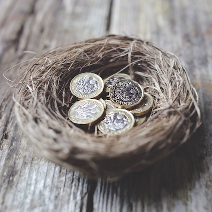 Birds nest containing one-pound coins